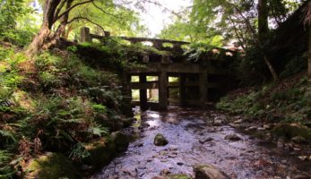 土木遺産⑥　日吉大社にあるわが国最古の構造的石橋群